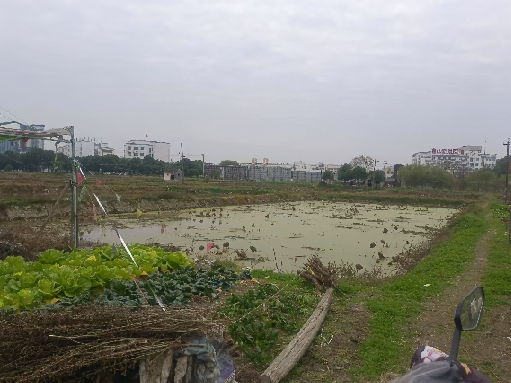 微信图片_20241217185103.png